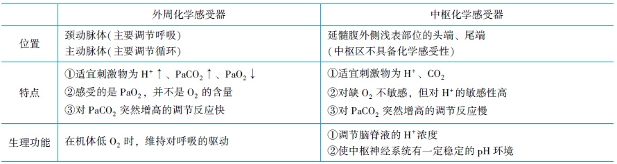 外周化學感受器與中樞化學感受器