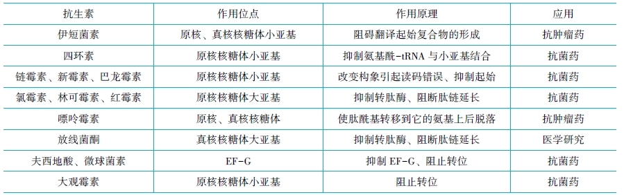 抗生素與蛋白質生物合成