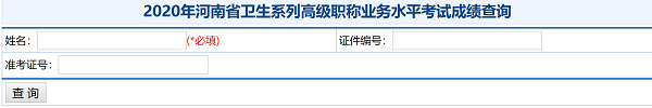 2020年河南省衛(wèi)生系列高級職稱業(yè)務(wù)水平考試成績查詢