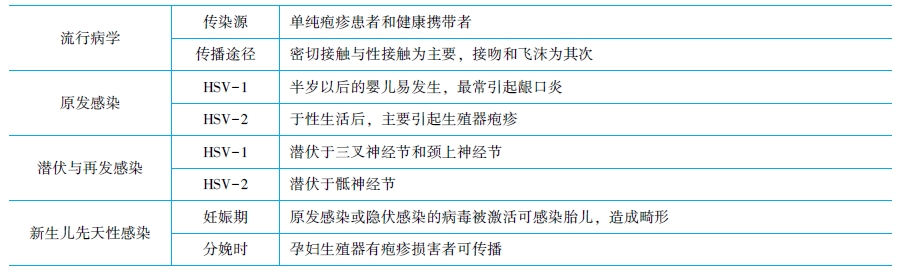 單純皰疹病毒分型及流行病學特點