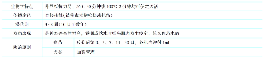 狂犬病毒