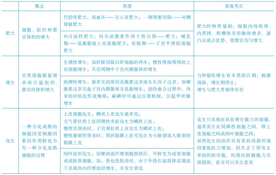 增生、化生和肥大的常見考點　