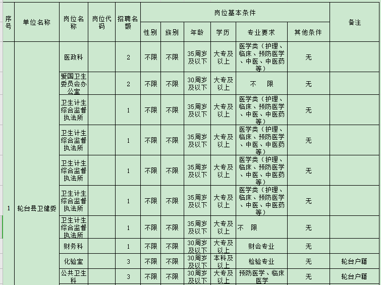 2020年新疆輪臺(tái)縣面向社會(huì)公開(kāi)招聘編制外工作人員職位表（27人）1