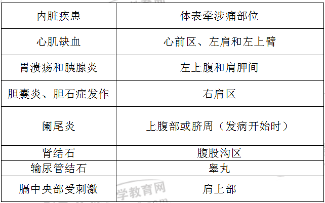 臨床常見內(nèi)臟疾患的體表牽涉痛部位