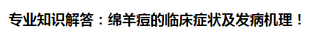 專業(yè)知識(shí)解答：綿羊痘的臨床癥狀及發(fā)病機(jī)理！