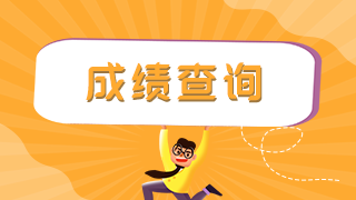 軍隊考生在哪查衛(wèi)生初中級職稱考試成績？