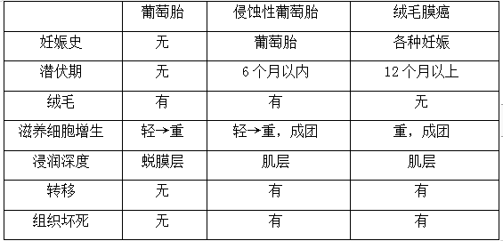 絨癌、侵蝕性葡萄胎、葡萄胎的鑒別