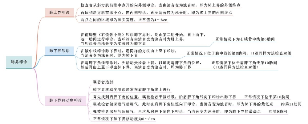 體格檢查——肺界叩診、肺下界移動度叩診