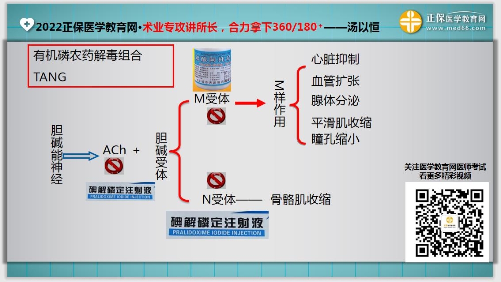 臨床醫(yī)師基礎(chǔ)測(cè)試14-延伸1