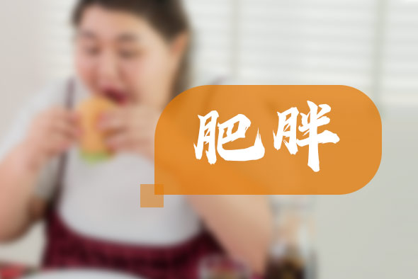 配圖8 配圖8