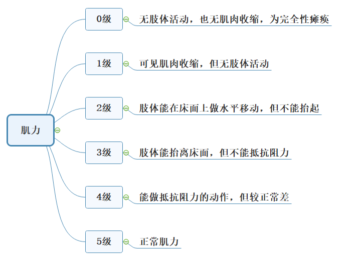 肌力