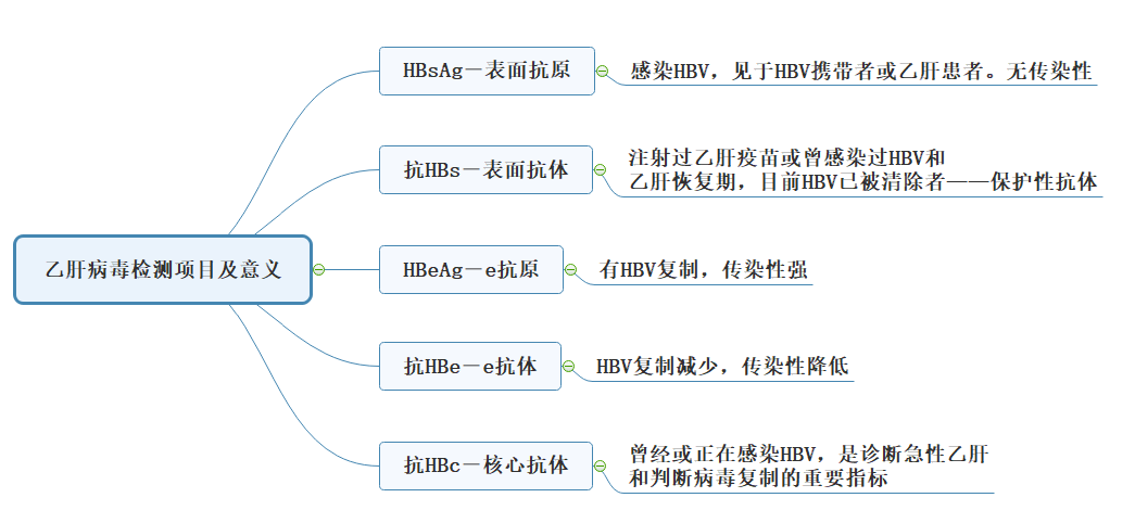 乙肝病毒檢測(cè)項(xiàng)目及意義