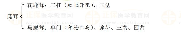 特殊性狀鑒別術語匯總-2023《中藥學專業(yè)知識一》記憶口訣