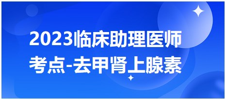 2023臨床助理醫(yī)師考點腎上腺素