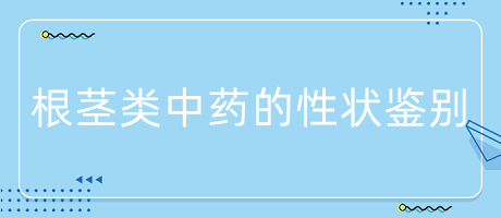 根莖類(lèi)中藥的性狀鑒別