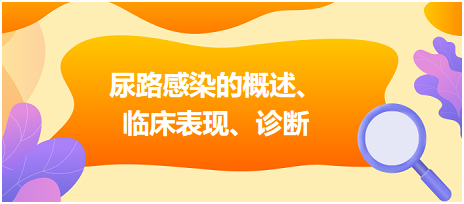 尿路感染的概述、臨床表現(xiàn)、診斷