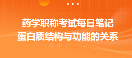 2024藥學(xué)職稱(chēng)考試每日筆記：蛋白質(zhì)結(jié)構(gòu)與功能的關(guān)系