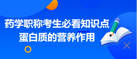 2024藥學(xué)職稱(chēng)考生必看知識(shí)點(diǎn)：蛋白質(zhì)的營(yíng)養(yǎng)作用