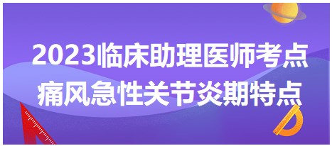 痛風(fēng)急性關(guān)節(jié)炎期特點