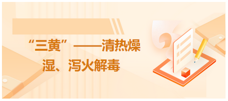 “三黃”——清熱燥濕、瀉火解毒