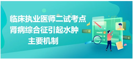 腎病綜合征引起水腫的主要機制