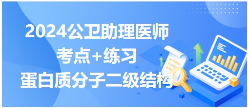 蛋白質(zhì)分子二級(jí)結(jié)構(gòu)