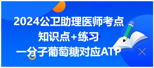 一分子葡萄糖對應ATP