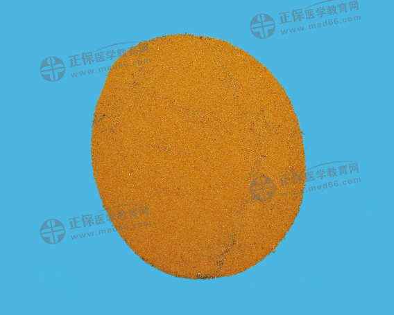 海金沙 海金沙